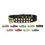 Clear Crystal #31 Dog Collar