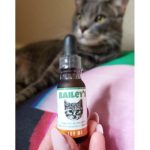 Bailey's Full Spectrum Hemp CBD Oil For Cats - Image 2