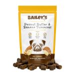 Bailey's Vegan Peanut Butter And Banana Yummies
