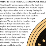 Traditional Crafts Coiled Eagle Basket Design Kit - Image 5