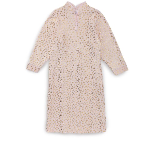 SV2022-03-08 164221 Sleepwear Assisted Dressing Open Back Pink Leopard Plush Loungewear Nightgown - Image 1