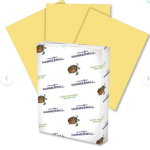 Printer Paper 8.5 X 11 Pastel Colors  - Hammermill 500 Sheet Count