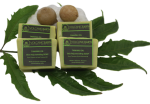 Tamanu Soap (Small) – Pack Of 4 Soaps