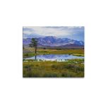 Wall Art Uniquely You Canvas Nature Landscape  20"x24"